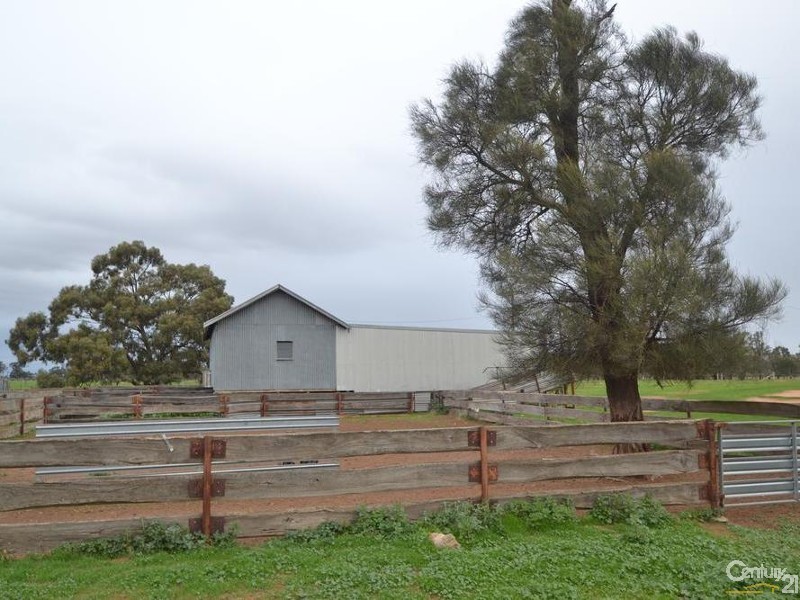 2570 Perricoota Road, Moama NSW 2731