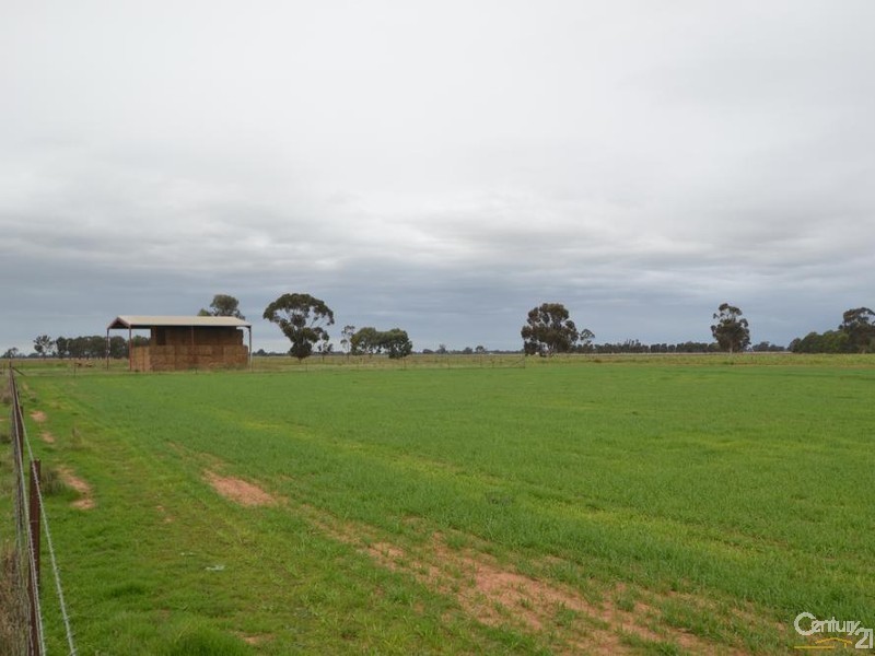 2570 Perricoota Road, Moama NSW 2731
