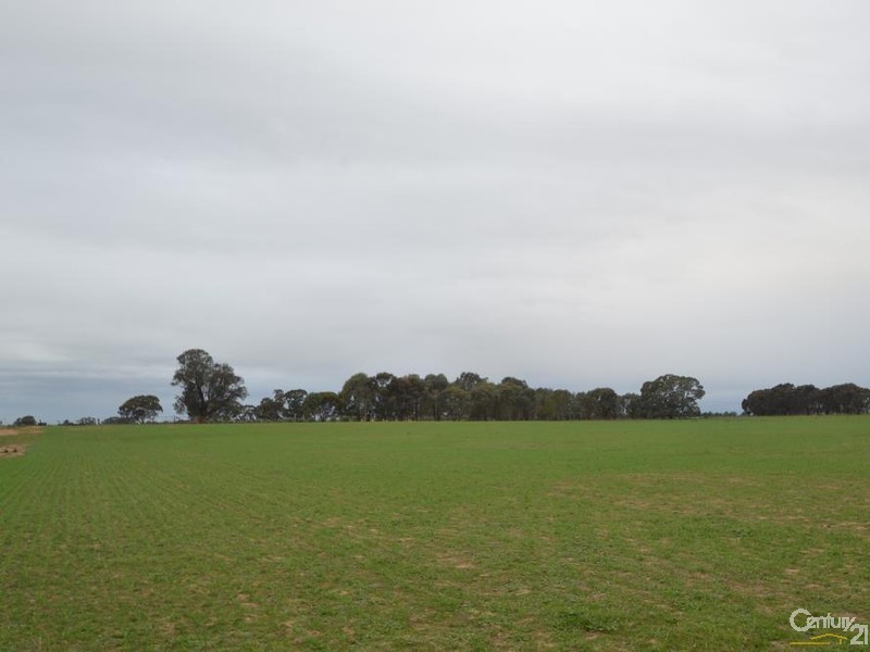 2570 Perricoota Road, Moama NSW 2731