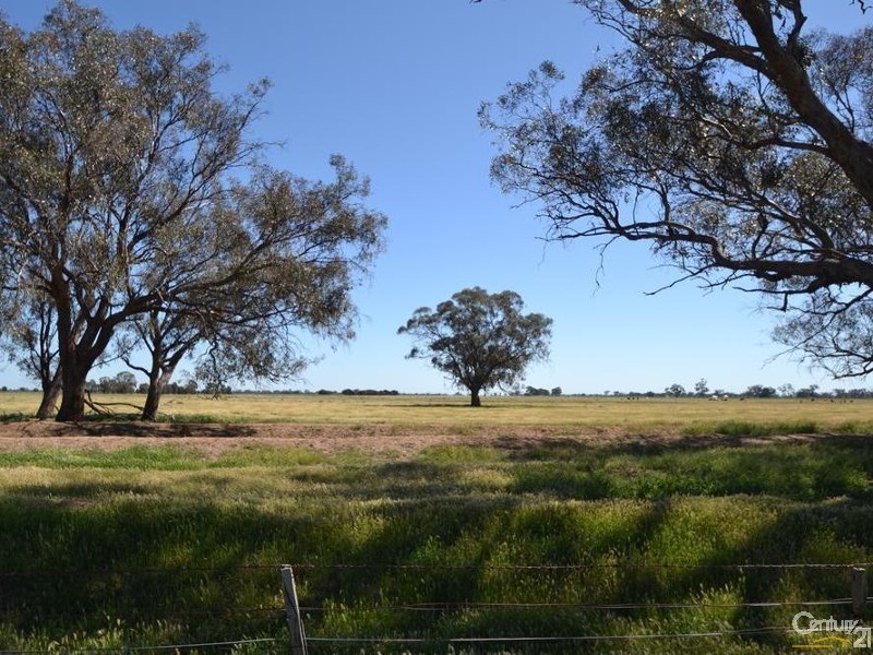 1233 ‘Avonleigh’ Thyra Road, Moama NSW 2731