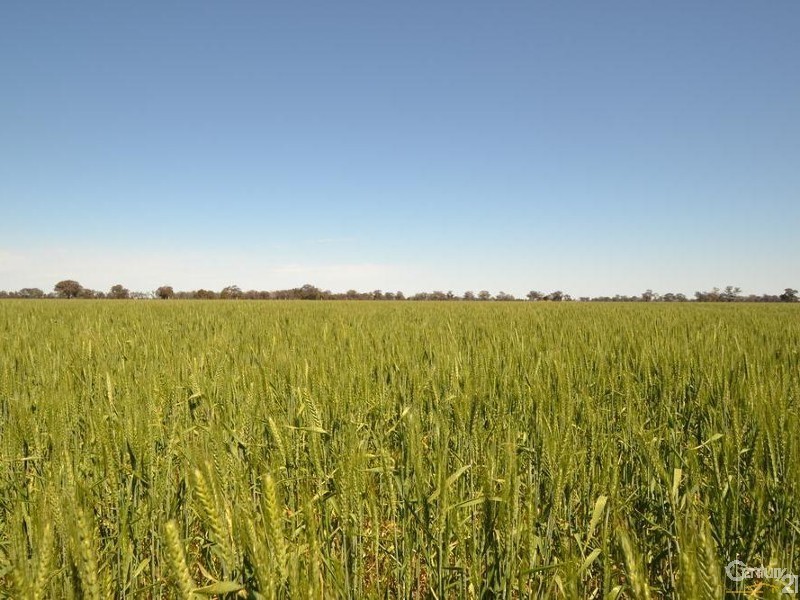 1233 ‘Avonleigh’ Thyra Road, Moama NSW 2731