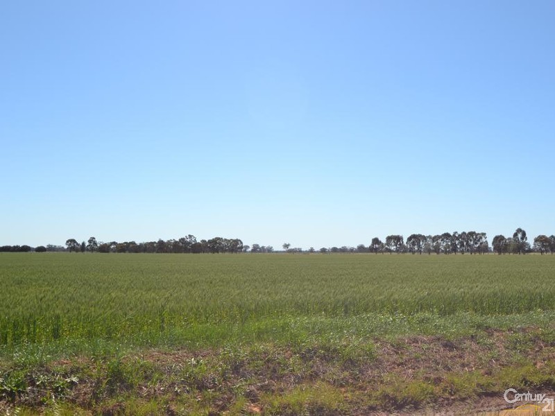 1233 ‘Avonleigh’ Thyra Road, Moama NSW 2731