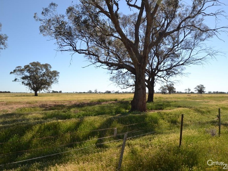 1233 ‘Avonleigh’ Thyra Road, Moama NSW 2731