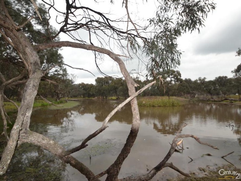 1291 O’Dea Road, Echuca VIC 3564