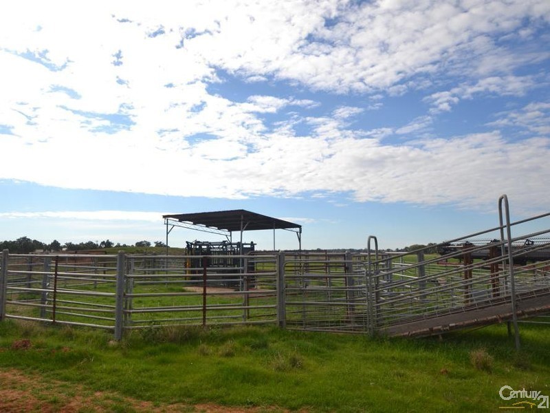 60 Point Road, Echuca VIC 3564