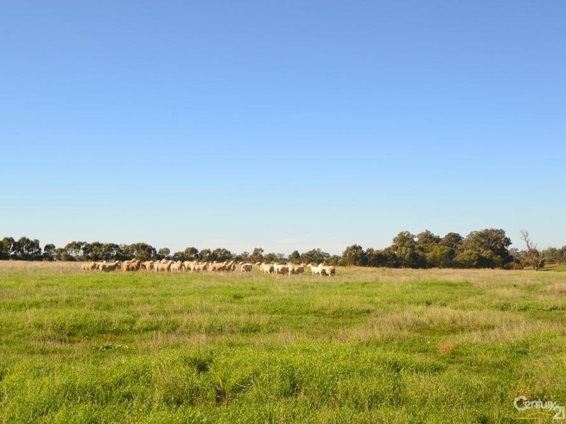 887 Bunnaloo Road, Mathoura NSW 2710