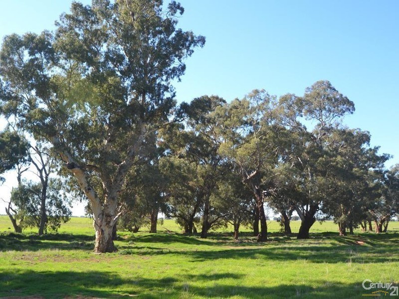 887 Bunnaloo Road, Mathoura NSW 2710