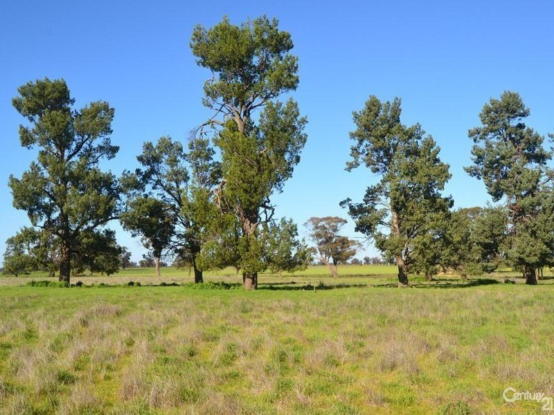 887 Bunnaloo Road, Mathoura NSW 2710