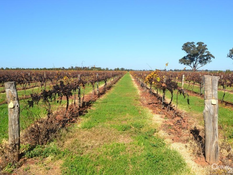 887 Bunnaloo Road, Mathoura NSW 2710