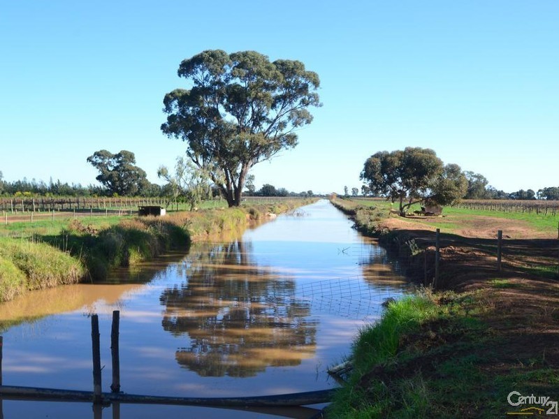 887 Bunnaloo Road, Mathoura NSW 2710