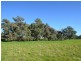 887 Bunnaloo Road, Mathoura NSW 2710