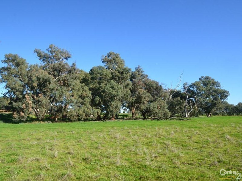 887 Bunnaloo Road, Mathoura NSW 2710