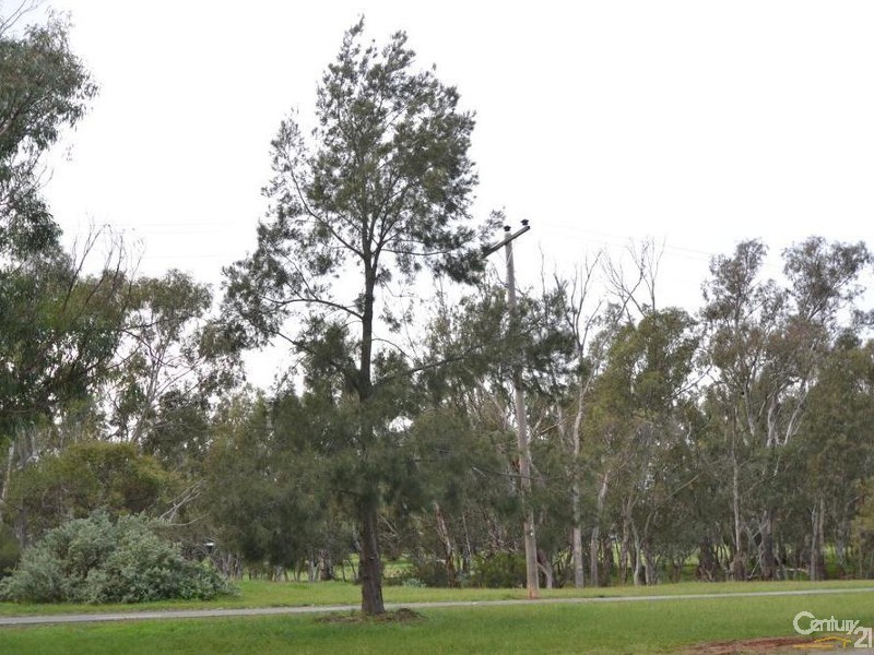 109 Campaspe Esplanade, Echuca VIC 3564