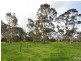 Lot 1 Thyra Rd, Moama NSW 2731