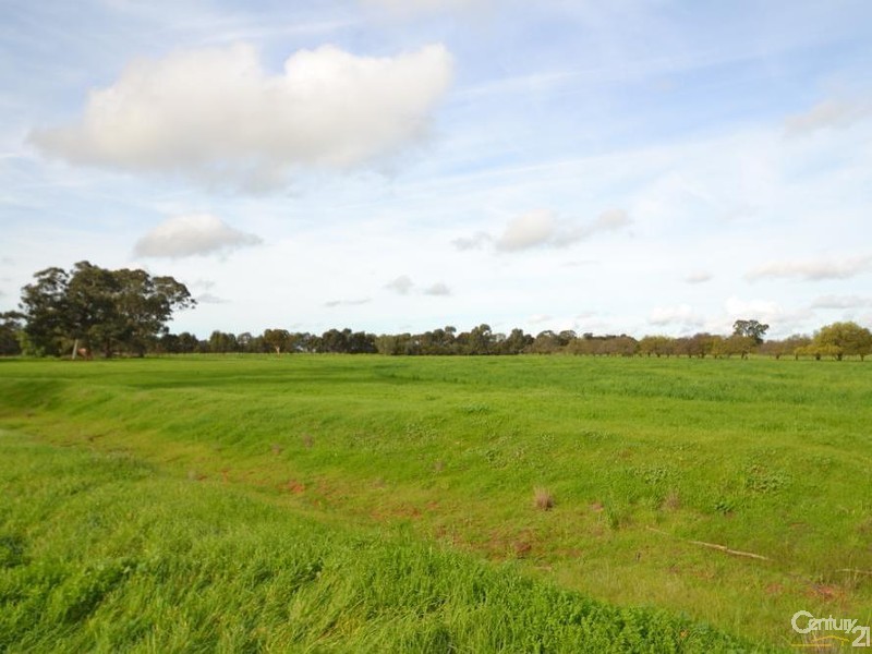Lot 1 Thyra Rd, Moama NSW 2731