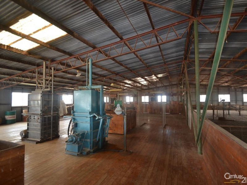 840 ‘Kendorwal’ RMB Tantonan Rd., Moama NSW 2731