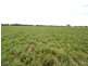 840 ‘Kendorwal’ RMB Tantonan Rd., Moama NSW 2731