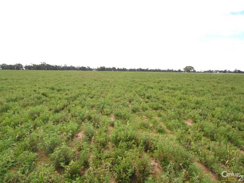 840 ‘Kendorwal’ RMB Tantonan Rd., Moama NSW 2731