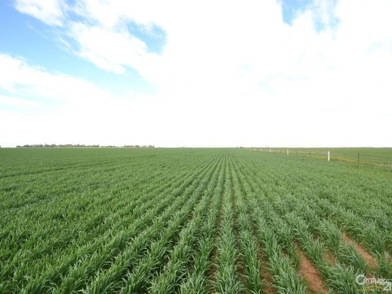 840 ‘Kendorwal’ RMB Tantonan Rd., Moama NSW 2731