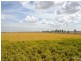 840 ‘Kendorwal’ RMB Tantonan Rd., Moama NSW 2731