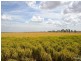 840 ‘Kendorwal’ RMB Tantonan Rd., Moama NSW 2731