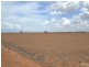 840 ‘Kendorwal’ RMB Tantonan Rd., Moama NSW 2731