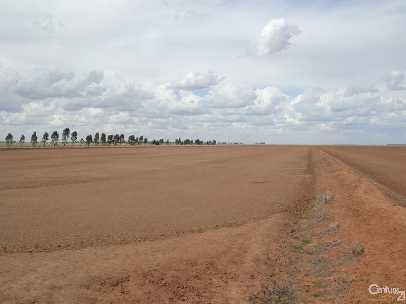 840 ‘Kendorwal’ RMB Tantonan Rd., Moama NSW 2731