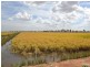 840 ‘Kendorwal’ RMB Tantonan Rd., Moama NSW 2731
