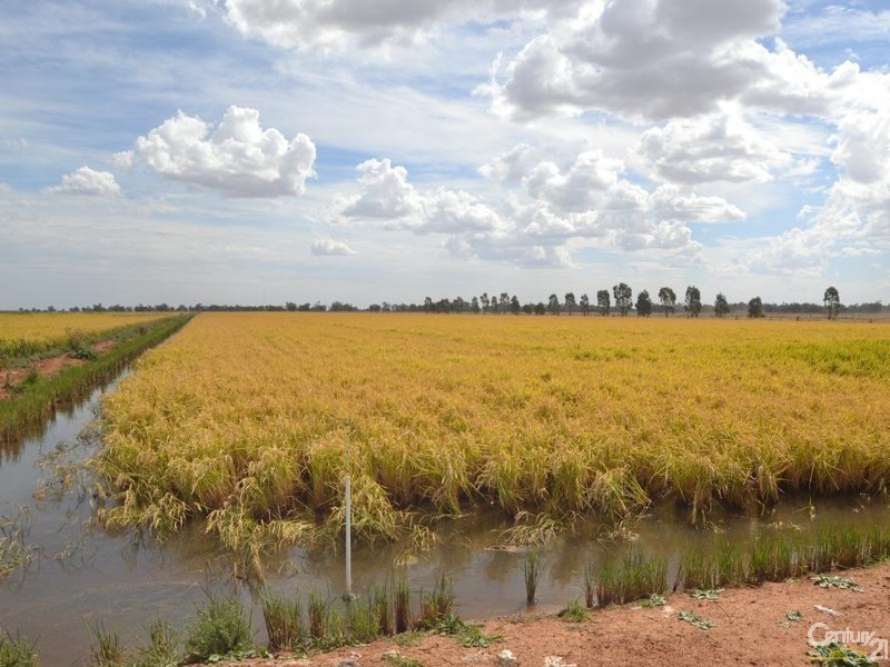 840 ‘Kendorwal’ RMB Tantonan Rd., Moama NSW 2731
