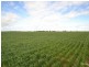 840 ‘Kendorwal’ RMB Tantonan Rd., Moama NSW 2731
