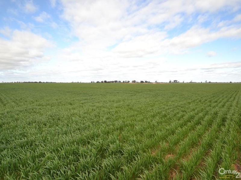 840 ‘Kendorwal’ RMB Tantonan Rd., Moama NSW 2731