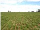 840 ‘Kendorwal’ RMB Tantonan Rd., Moama NSW 2731