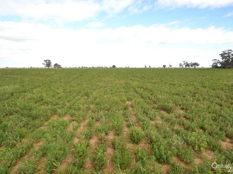 840 ‘Kendorwal’ RMB Tantonan Rd., Moama NSW 2731