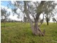 840 ‘Kendorwal’ RMB Tantonan Rd., Moama NSW 2731