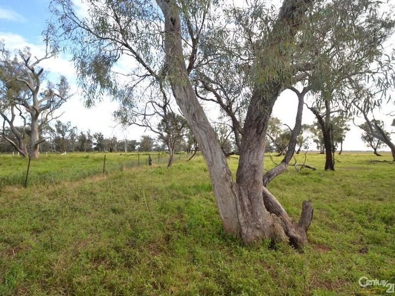 840 ‘Kendorwal’ RMB Tantonan Rd., Moama NSW 2731