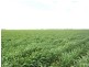 840 ‘Kendorwal’ RMB Tantonan Rd., Moama NSW 2731
