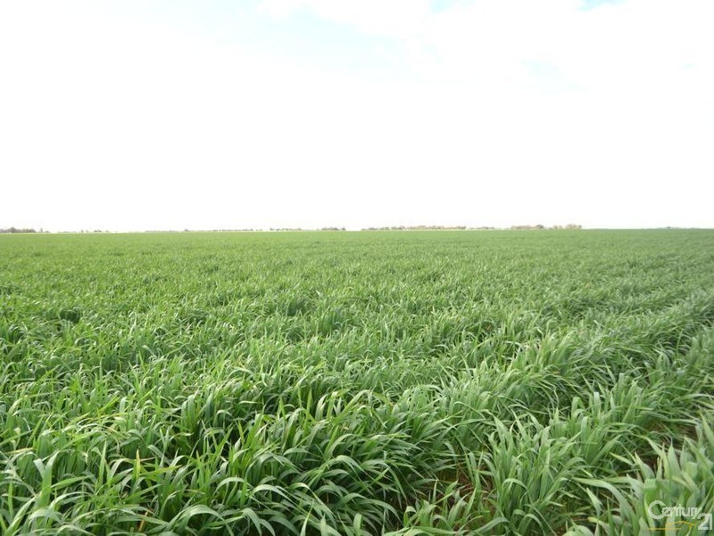 840 ‘Kendorwal’ RMB Tantonan Rd., Moama NSW 2731