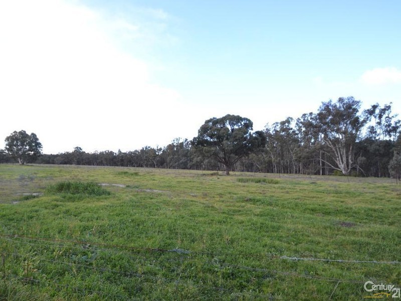 276 Boggy Creek Road, Deniliquin NSW 2710