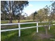 276 Boggy Creek Road, Deniliquin NSW 2710