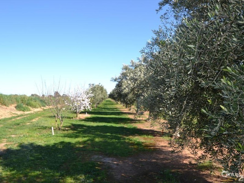 91 Tandarra Road, Moama NSW 2731