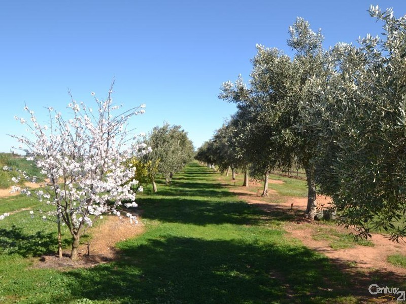 91 Tandarra Road, Moama NSW 2731