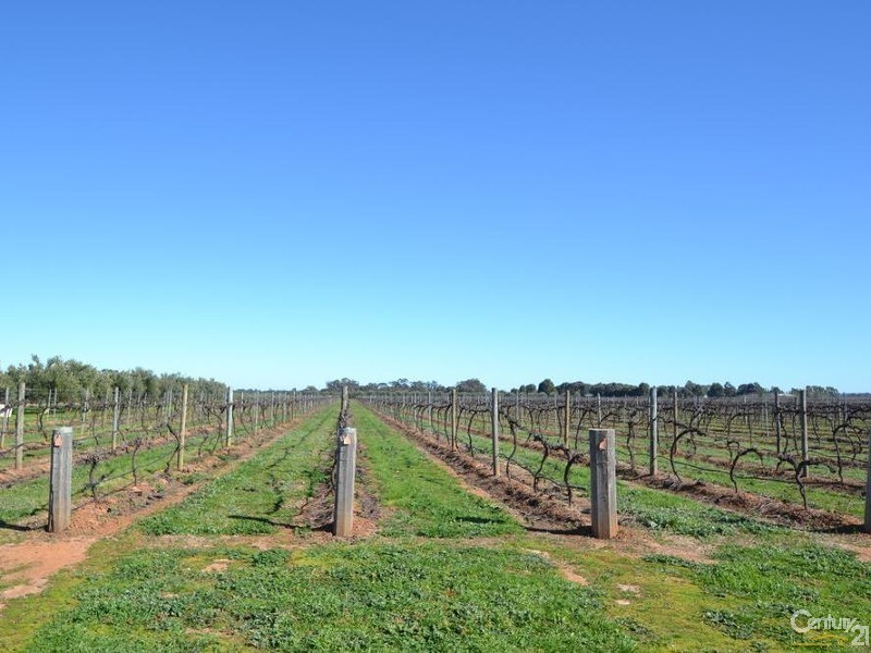 91 Tandarra Road, Moama NSW 2731