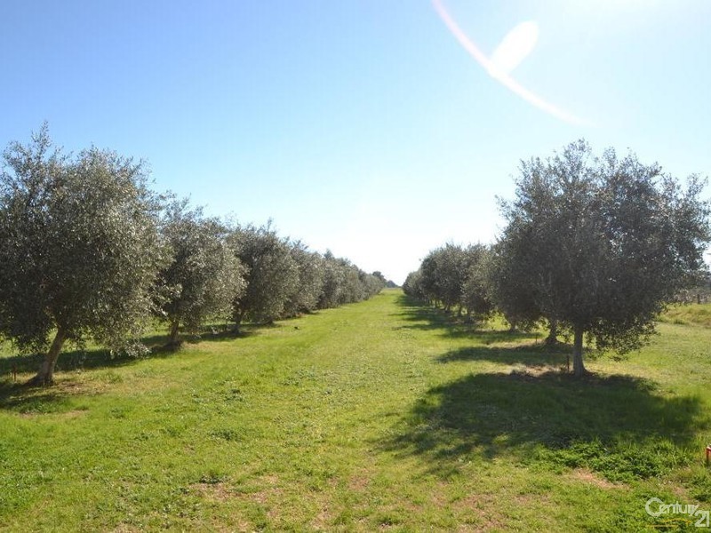 91 Tandarra Road, Moama NSW 2731