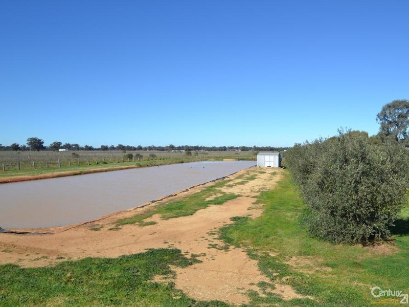 91 Tandarra Road, Moama NSW 2731