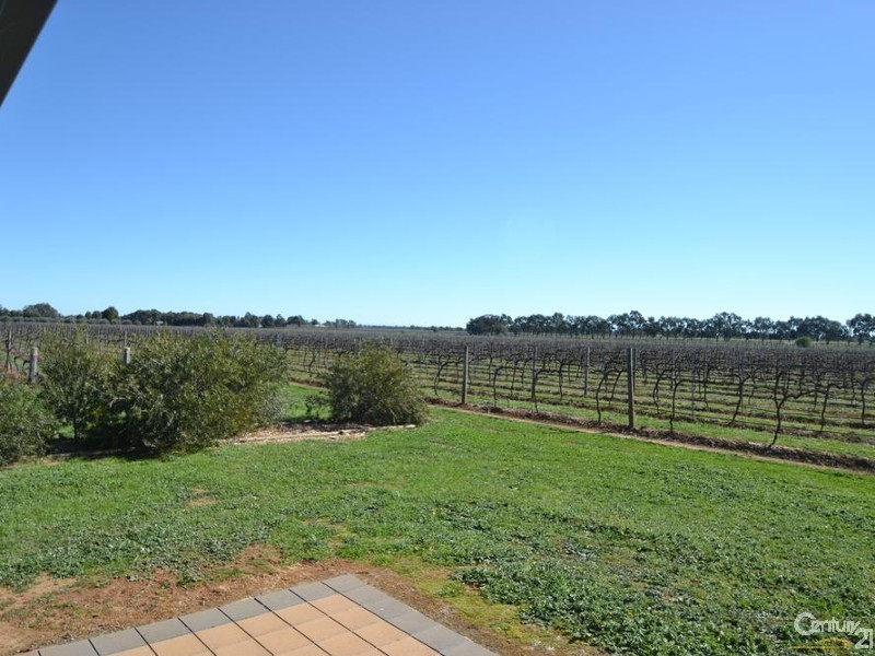 91 Tandarra Road, Moama NSW 2731