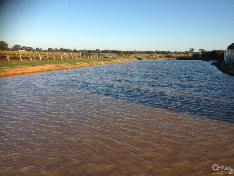 91 Tandarra Road, Moama NSW 2731