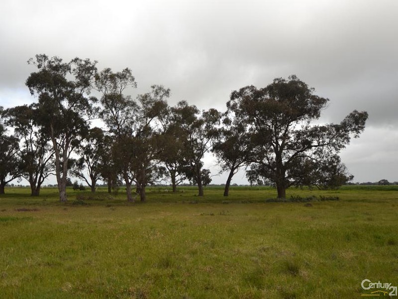 160 Caldwell Line Road Bunnaloo, Moama NSW 2731