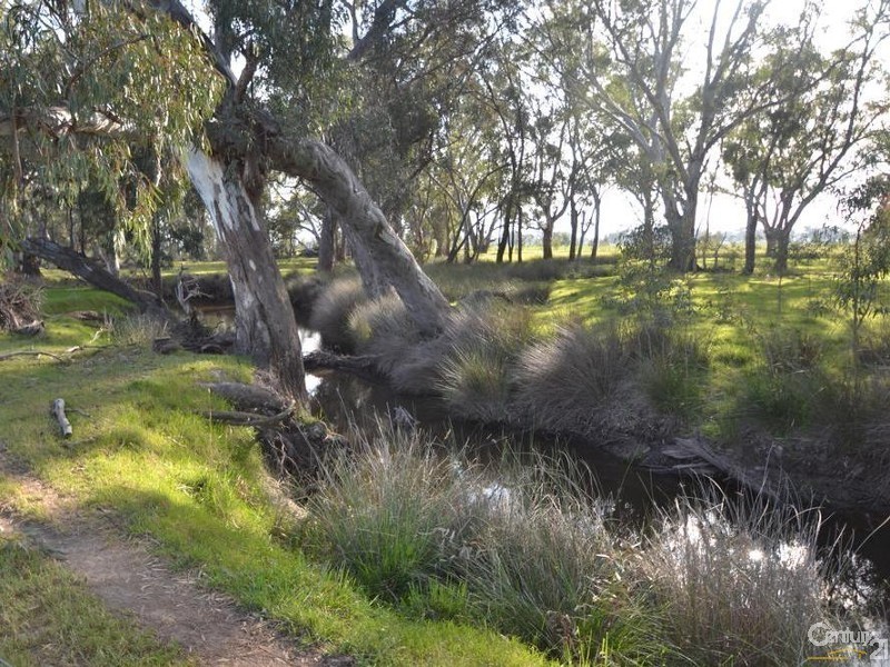 1128 Geodetic Road, Euroa VIC 3666