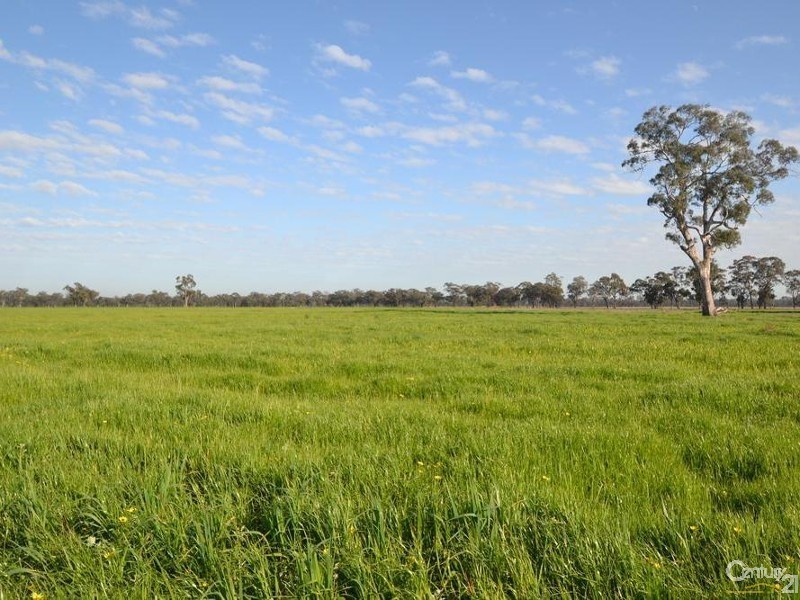 1128 Geodetic Road, Euroa VIC 3666