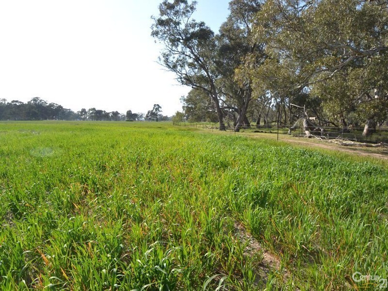 1128 Geodetic Road, Euroa VIC 3666